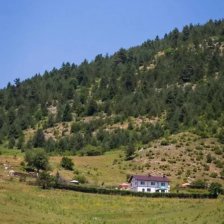 Villa иглика Yagodina