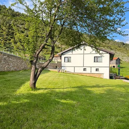 Villa иглика