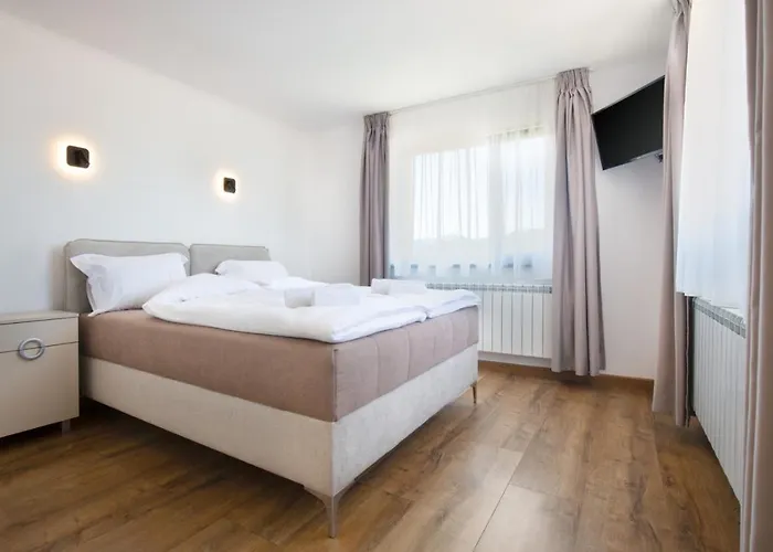 иглика Willa *