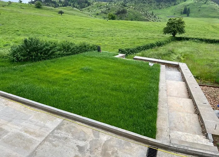 Willa иглика *