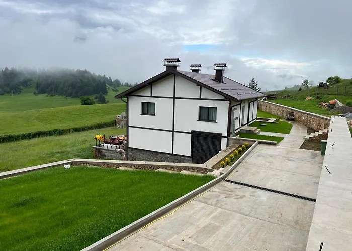 иглика Willa *