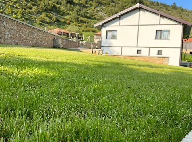 иглика Willa *