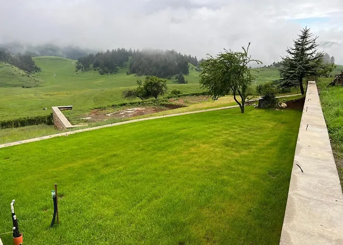 иглика Jagodina