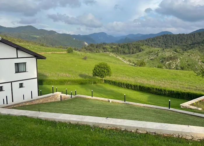 Willa иглика Jagodina