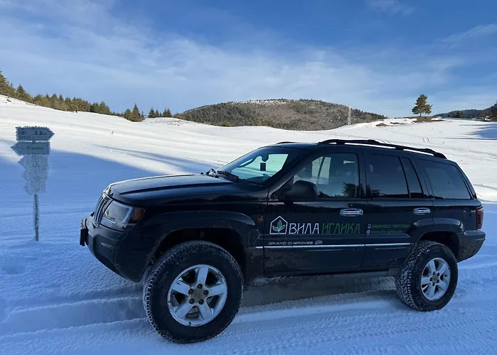 Willa иглика Jagodina