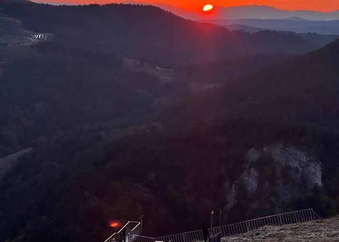 иглика Willa *